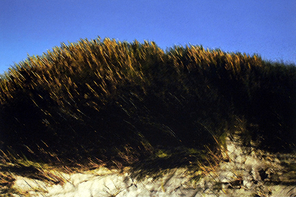 Image 1-101