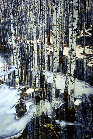 Image 1-22