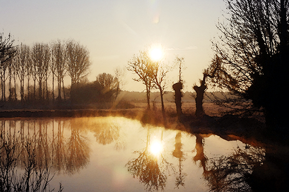 Image 1-28