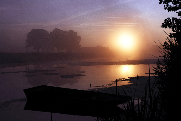 Image 1-81